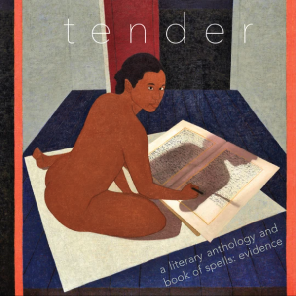 tender, a literary anthology and book of spells: evidence book cover