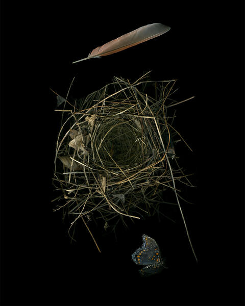 Ephemeral Permanence #5