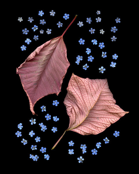 Ephemeral Permanence #3