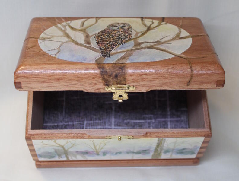 Recycled cigar box with owl and carved tree and hidden animals on each side