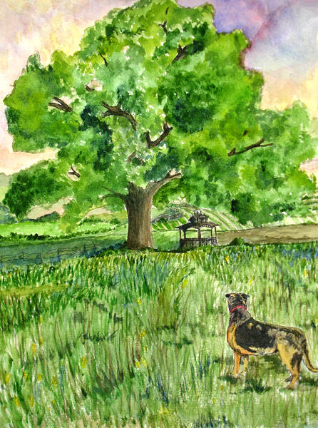 Watercolor painting of a dog  and gazebo in a pasture