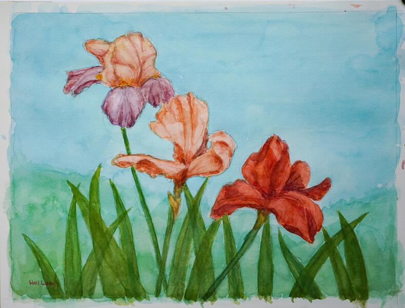 Three Irises