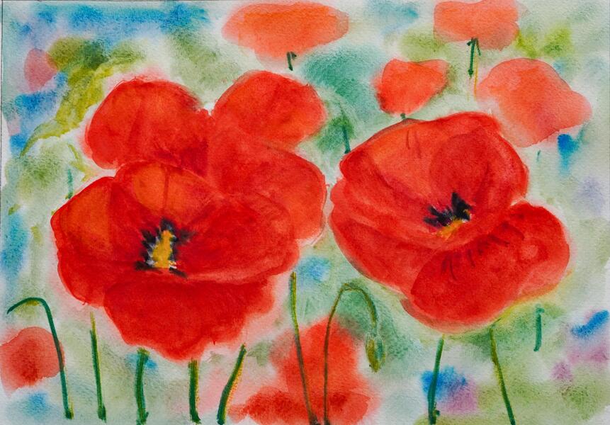 Poppies I