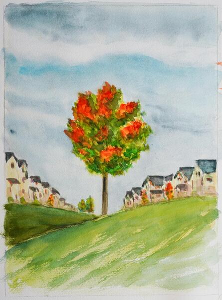 A Neighborhood Tree - Autumn