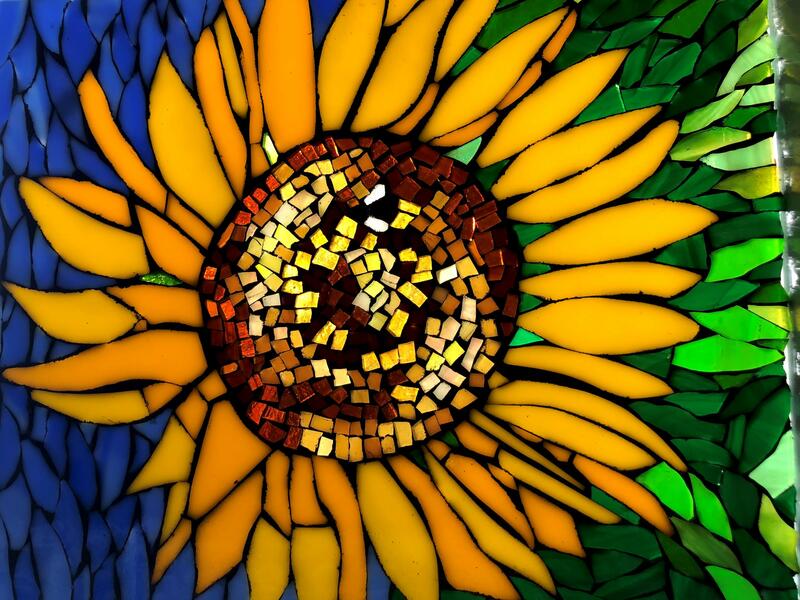 Single Sunflower backlit