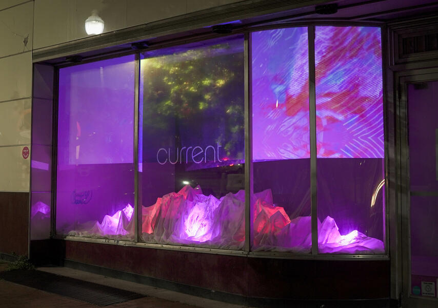 tree reflection, abstract imagery, 3-D fabric & light sculpture.