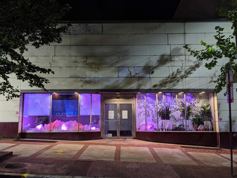mixed media window installation, plants, purple leds, projected abstract imagery