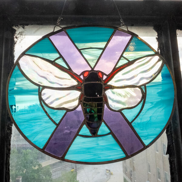 Cicada with purple X on blue sky background
