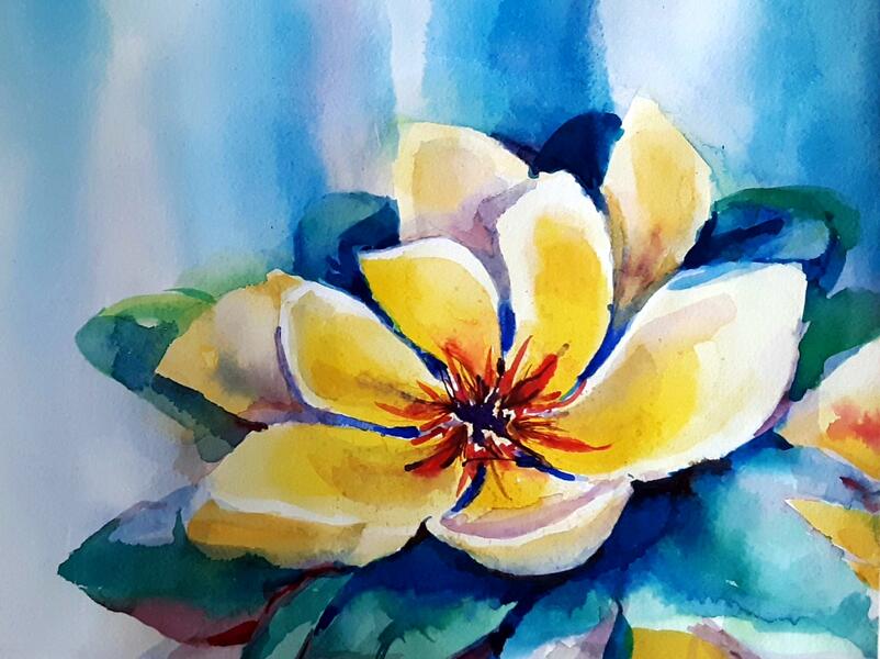 Yellow magnolia