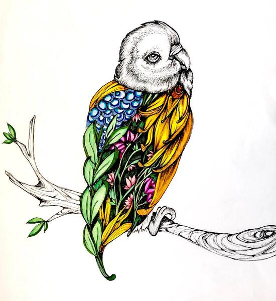 BIrDFLIGHTS.jpeg