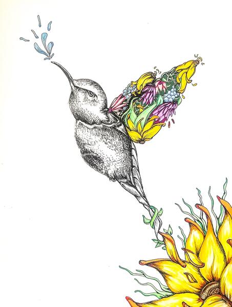 Hummingbird Breakthrough.jpg