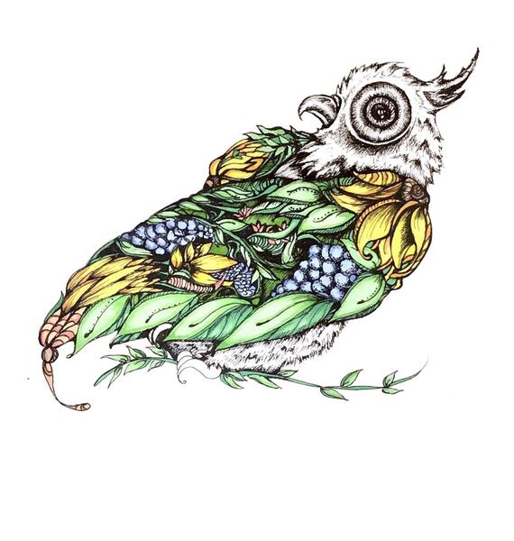 Owl Flowers.JPG
