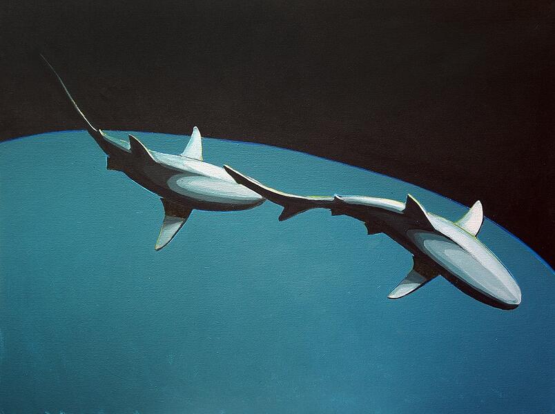 Two Sharks