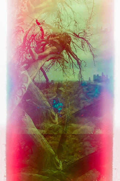 Liminality: Lost Angeles