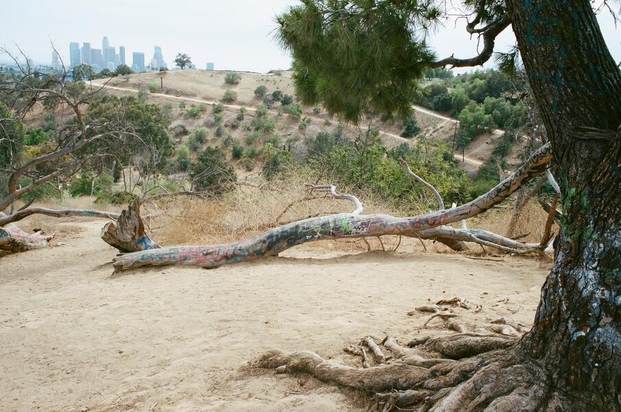 Liminality: Lost Angeles