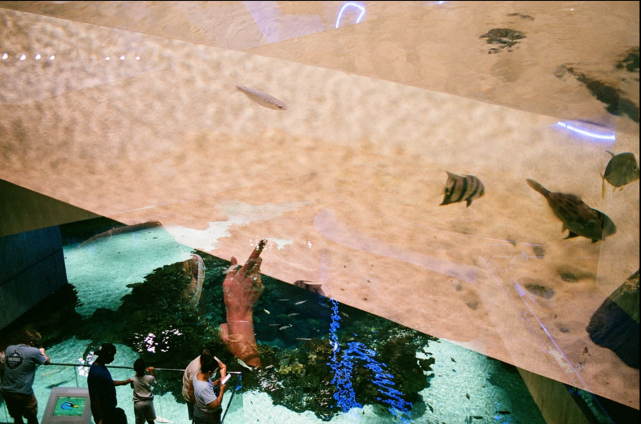 Observing the Observed