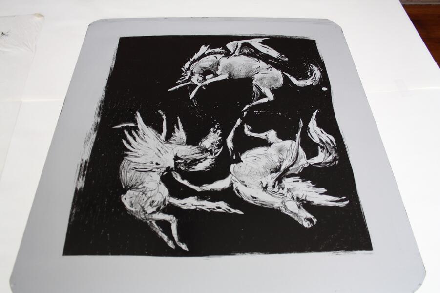 litho plate for Pegasus had an Icarus Moment 