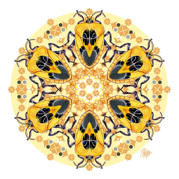 Art Deco Yellow Shield Bug Mandala
