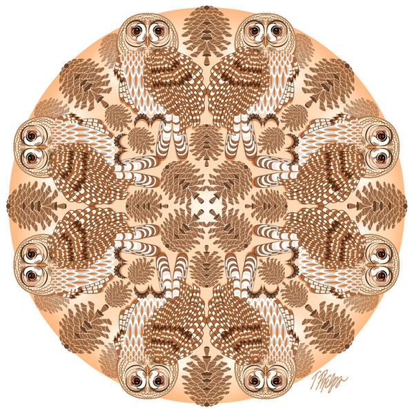Barred Owl Pinecone Mandala