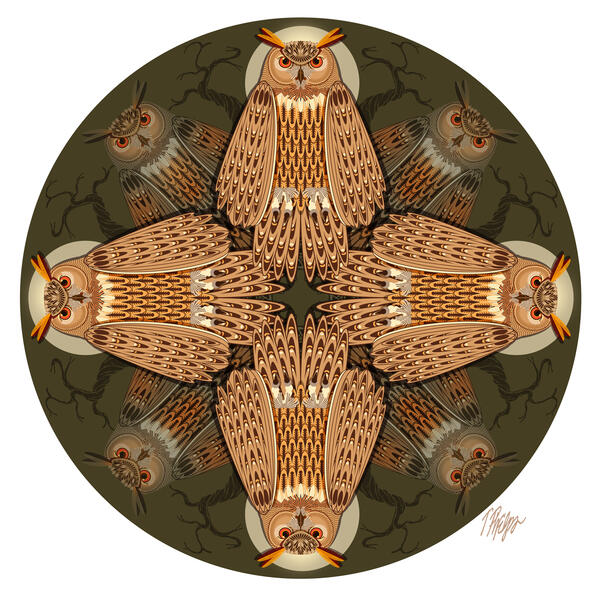 Eagle Owl Night Perch Mandala