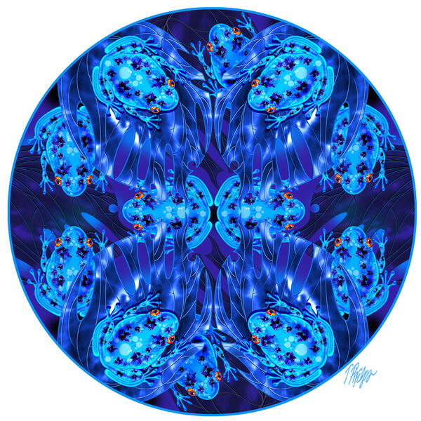 Philodendren Blue Dart Frog Mandala