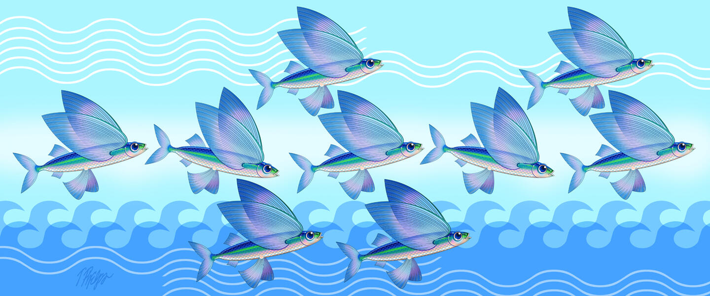 Flyingfish Wave Panel