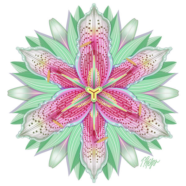 Pastel Pink and White Lily Mandala