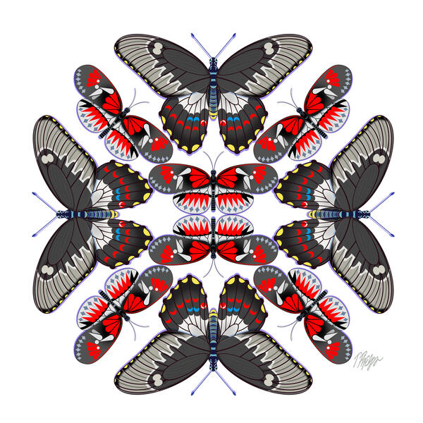 Red Black Gray Butterfly Mandala