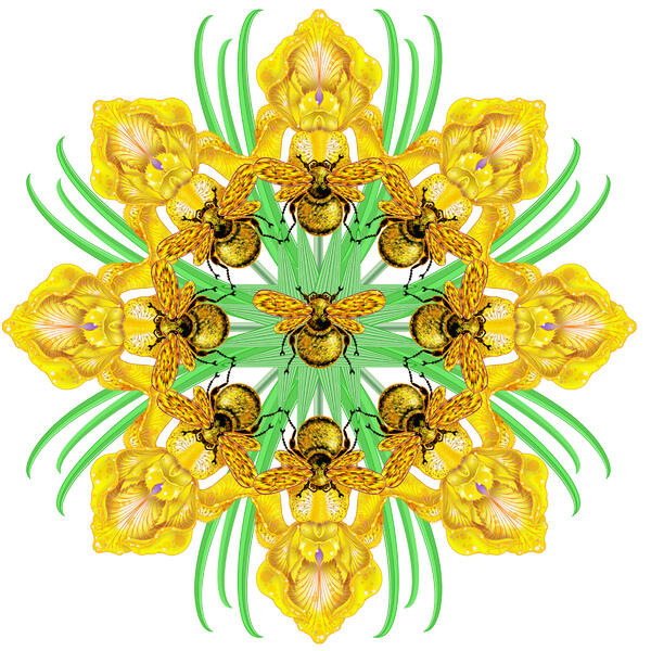 Yellow Iris Bumblebee Mandala