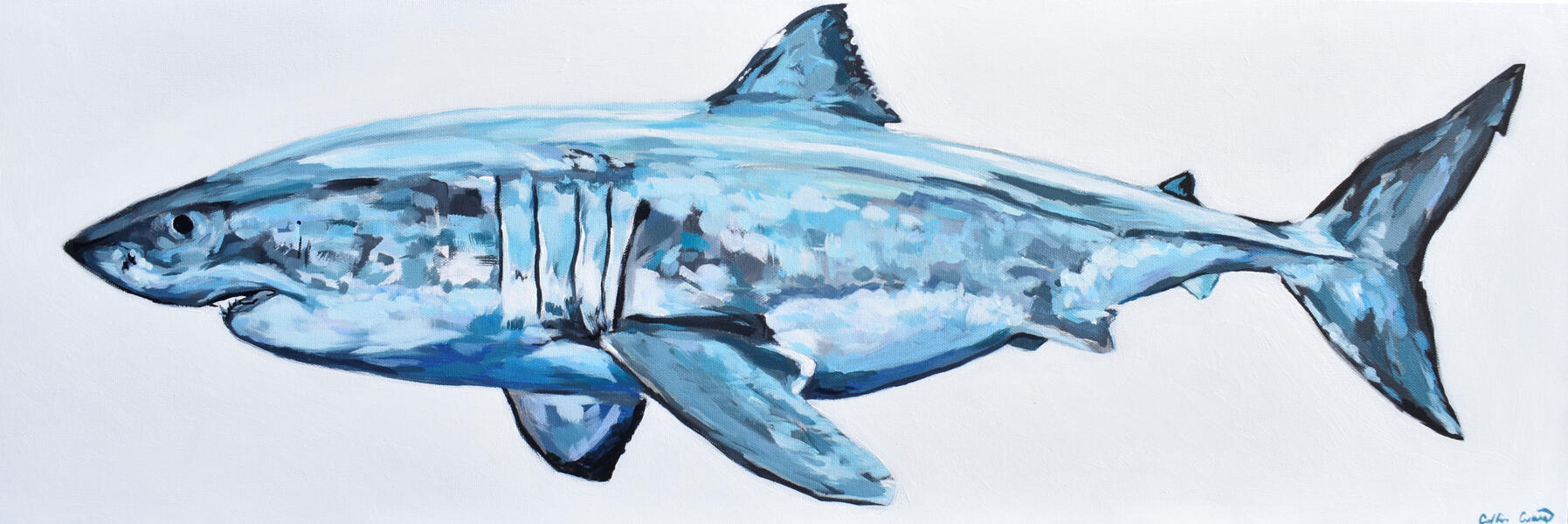 Great White Shark painting by Collin Cessna 