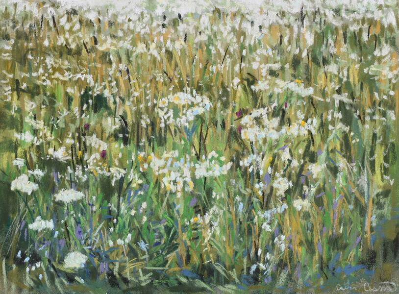 Wildflowers Pastel painting by Collin Cessna