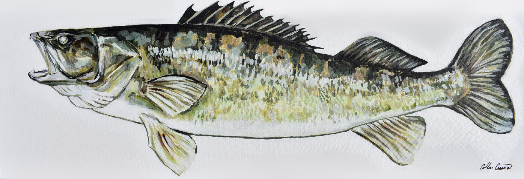 Walleye Fish by Collin Cessna