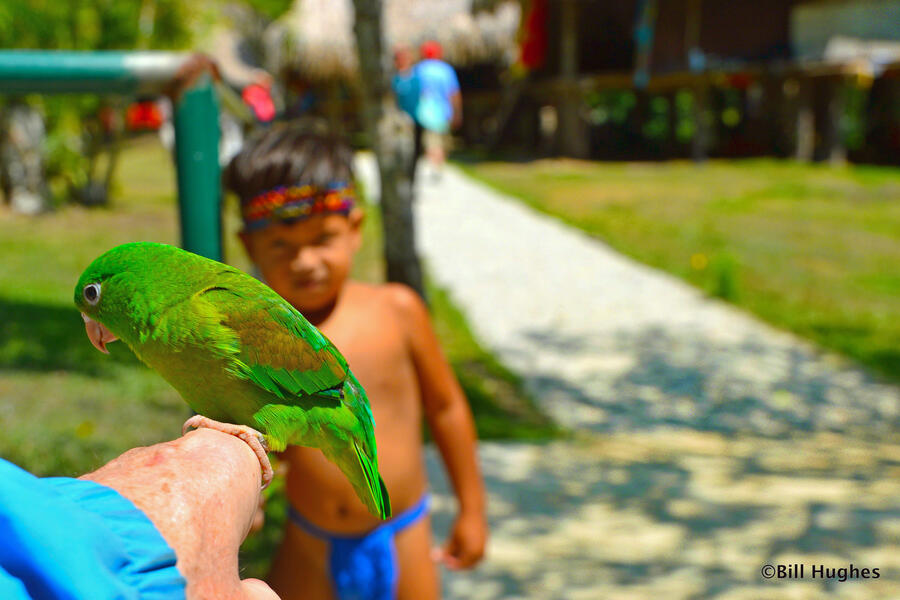 A Bird's Eye View- Panama