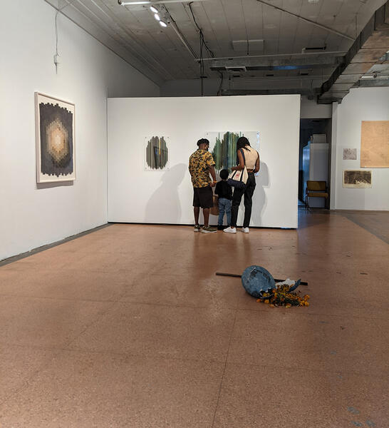 Gallery View 