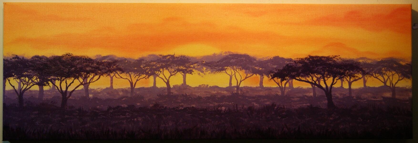 savanna sunset