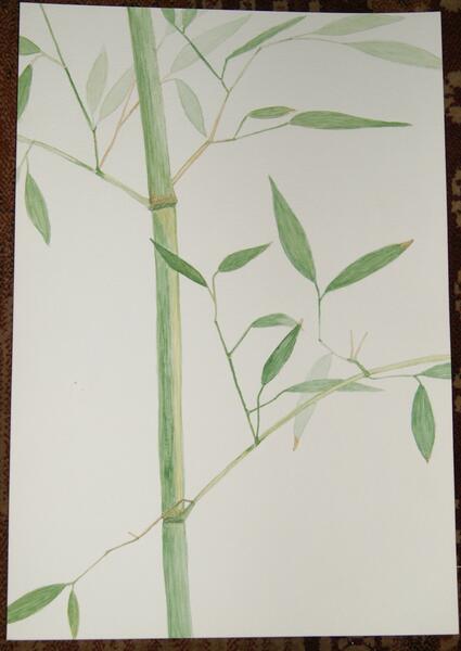 watercolor bamboo