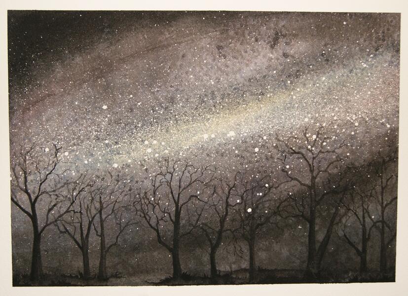 watercolor tree study, starlight