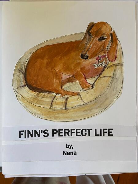Finn's Perfect Life.jpeg