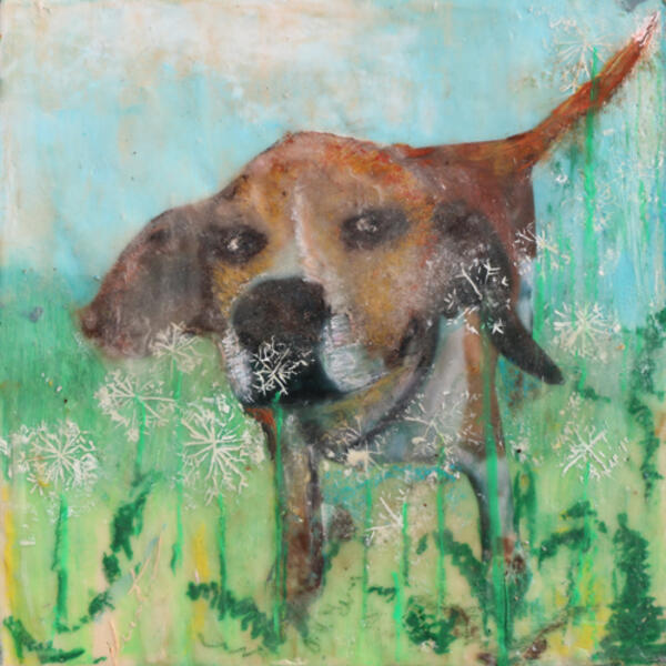 pet,portrait,dog,dandelion,memento,commission 