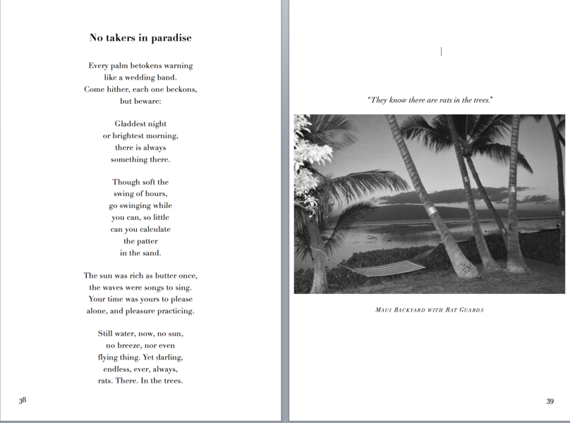 Sample Spread (from end of chapbook)