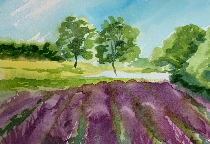  Lavender Field 5x7