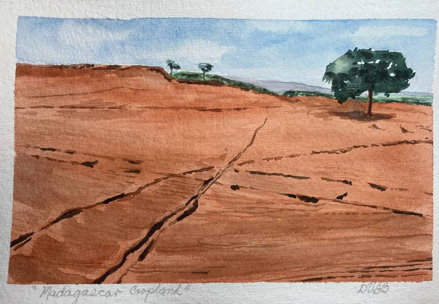  Parched Cropland  6x9