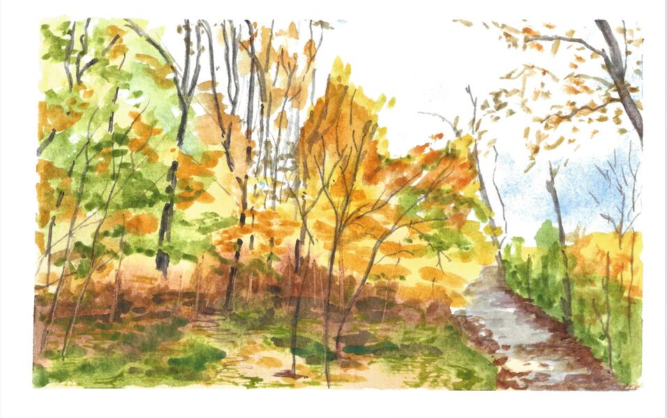 Fall on the NCR Trail  5x8