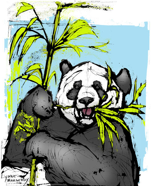 Panda Eats Bamboo