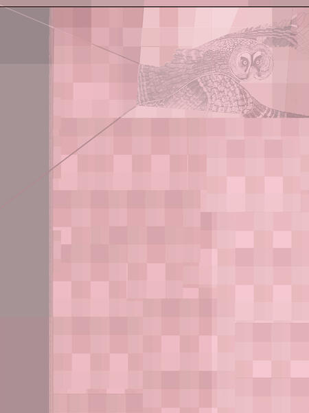 Great Pink Grid