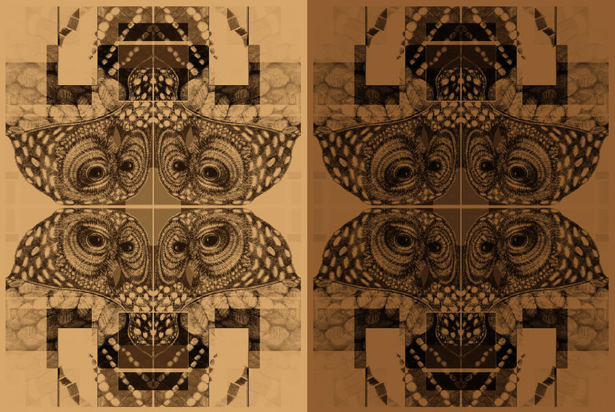  Spotted Owls Polyptych 4