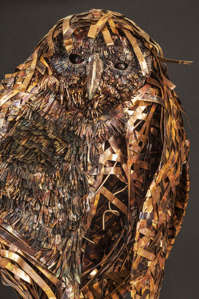 Balzac, Spotted Owl....close-up 