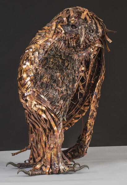 Balzac, Spotted Owl...full view