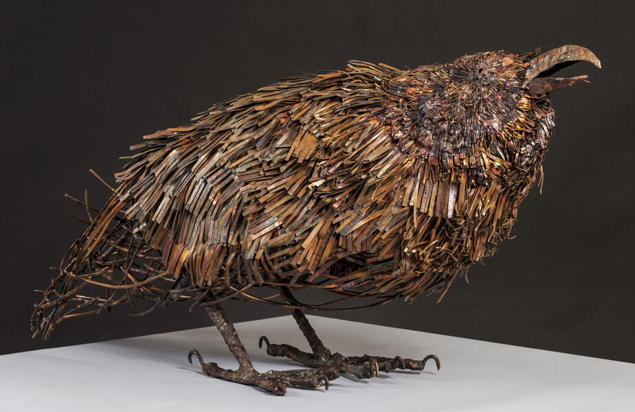 Raven-the Orator