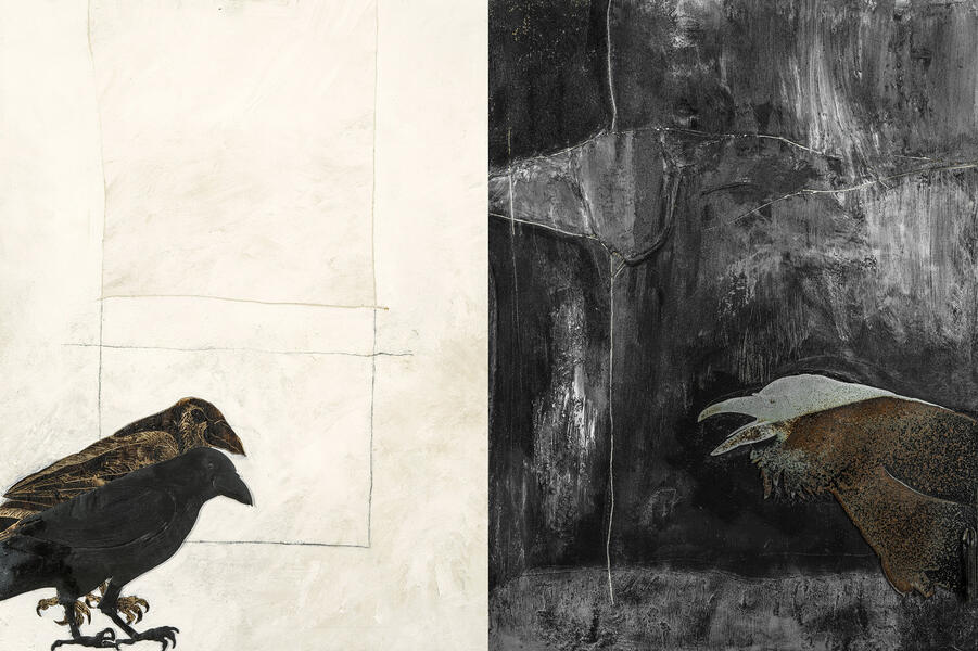 ravens black and white